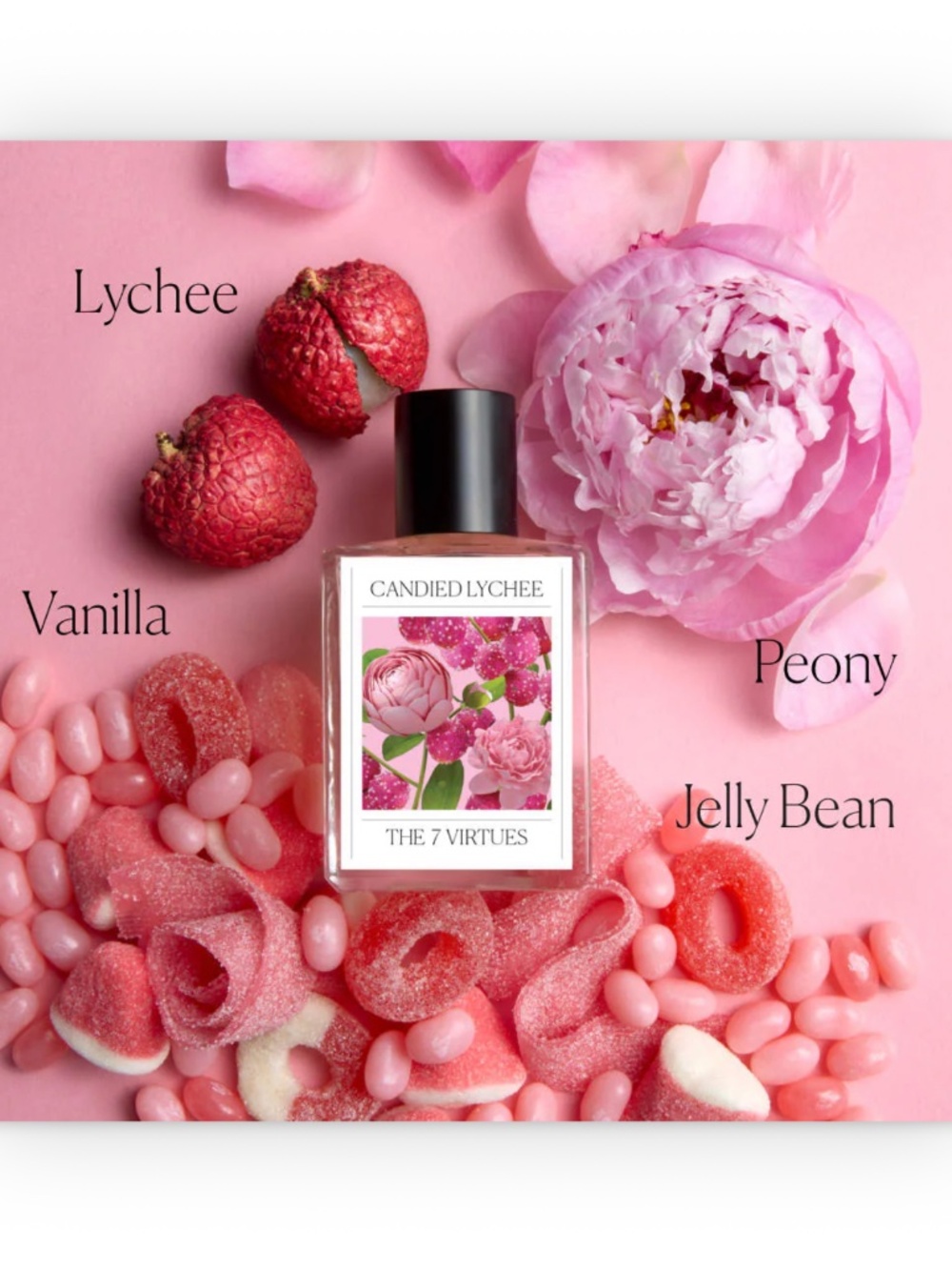 ❤️ The 7 Virtues  Candied Lychee mini - Picture 8 of 9